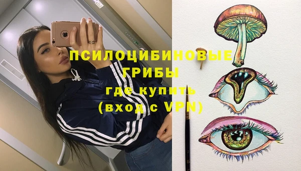 прущий лед Арсеньев